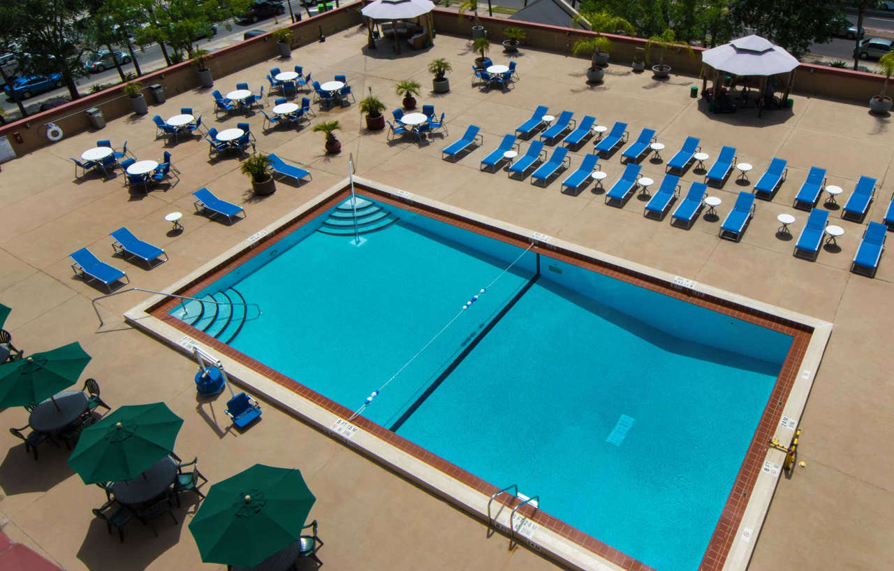 Holiday Inn Gainesville-University Center By Ihg Zewnętrze zdjęcie